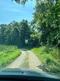 The gravel road to the houses