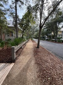 Watercolor Neighborhood walk
