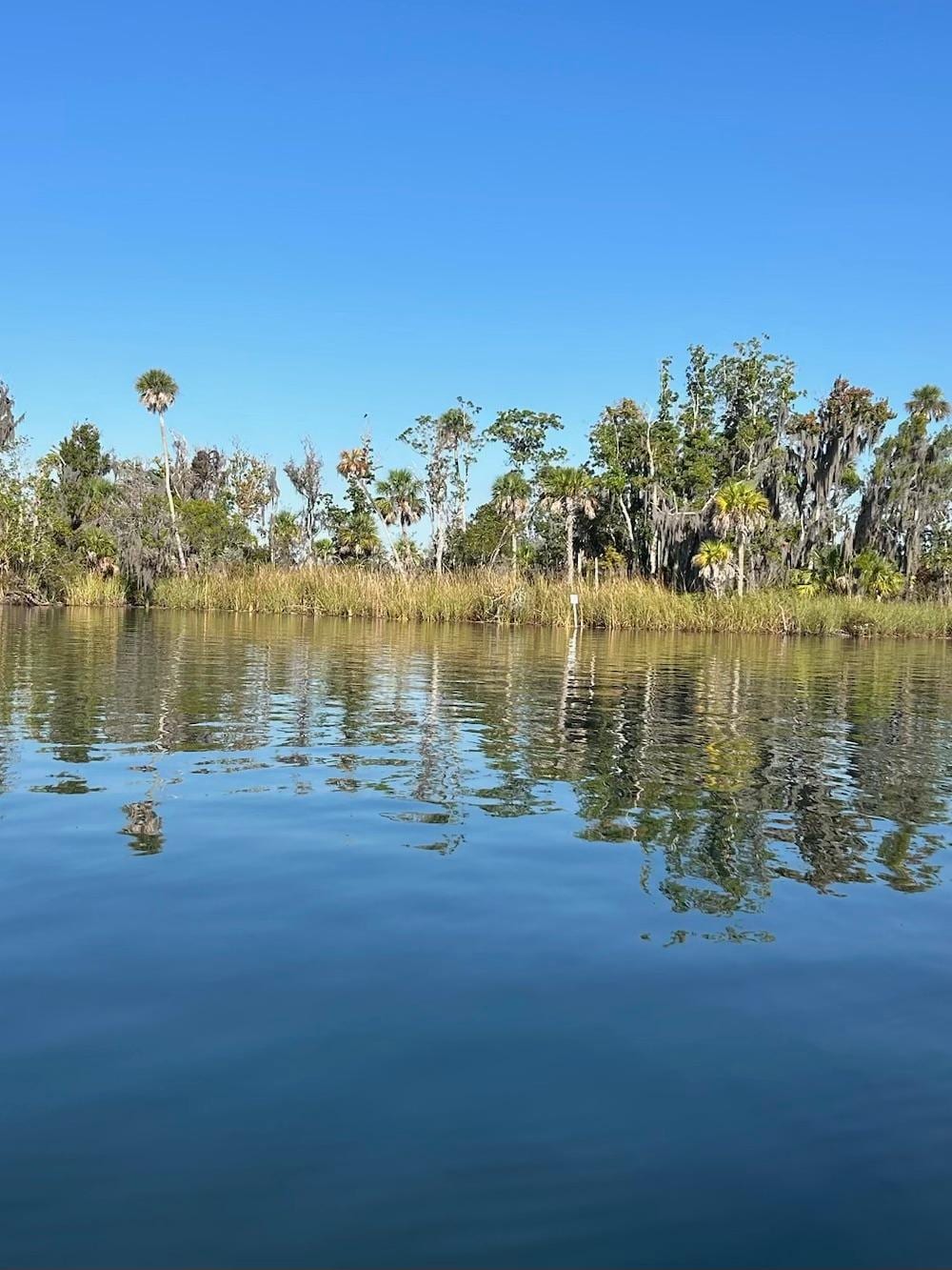 Beautiful and quiet waterway, surrounded by manatee!