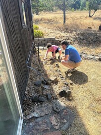 Hunting lizards