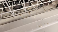 Dishwasher