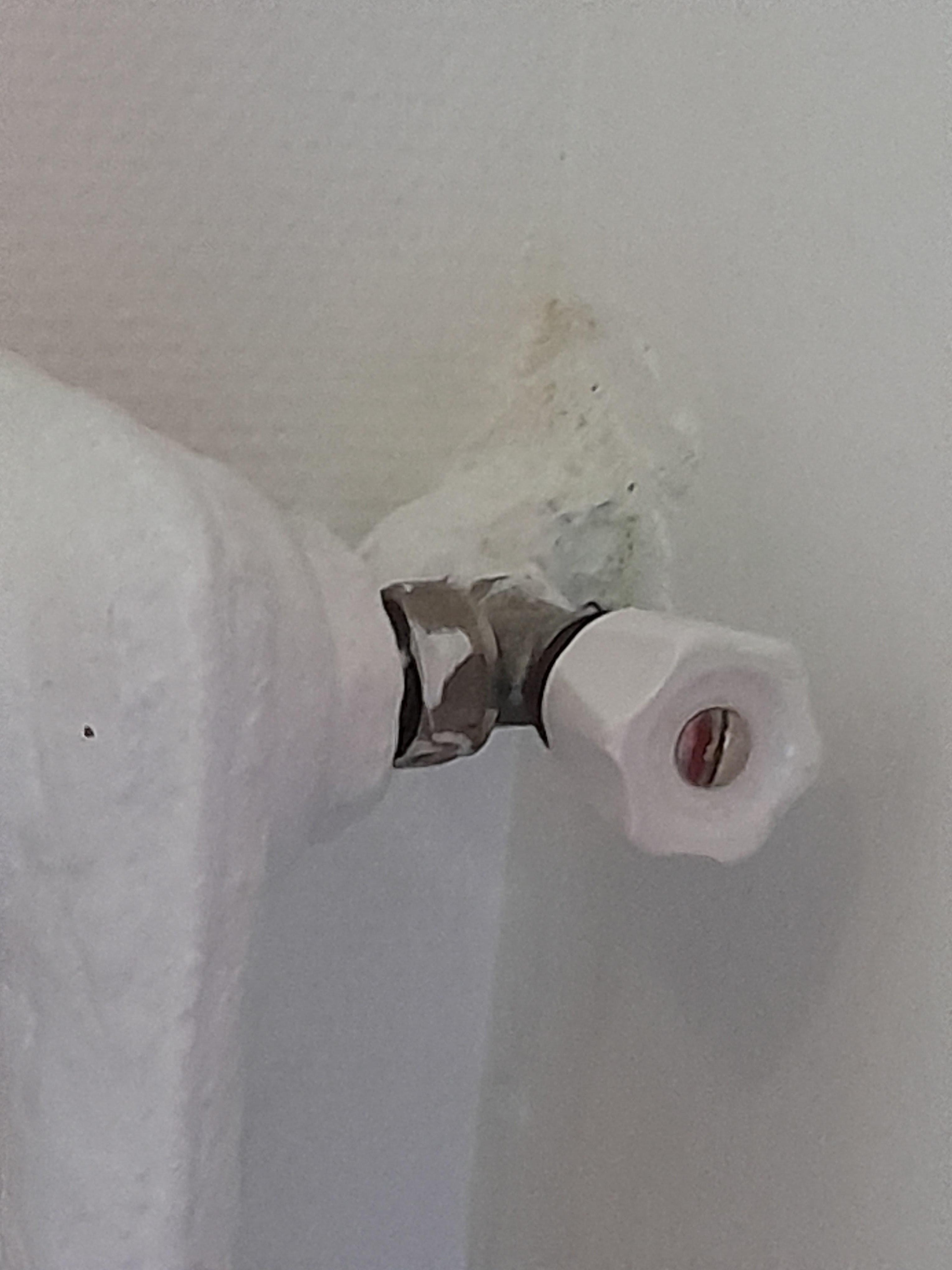 Mastication radiateur 