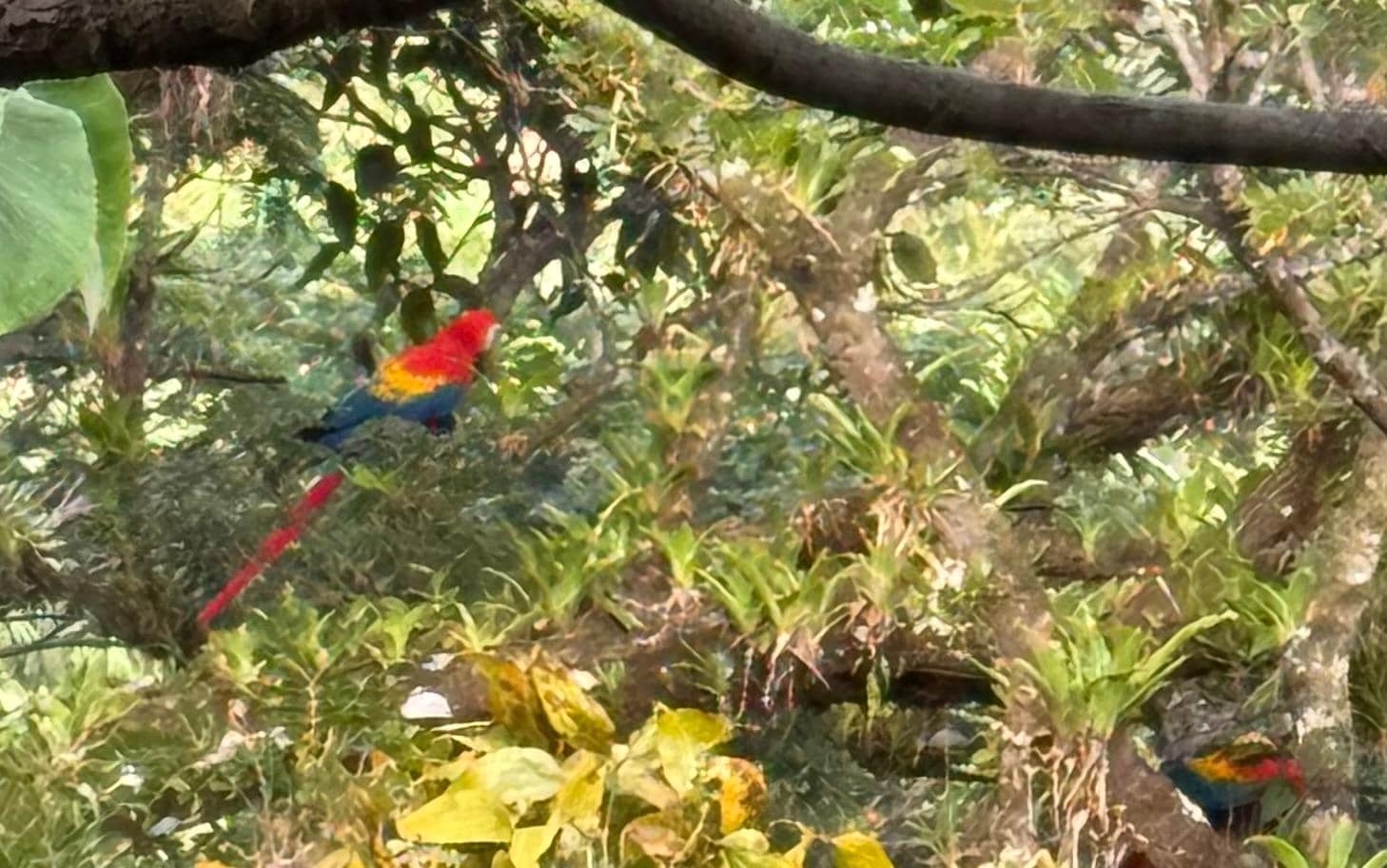 From my bedroom window.