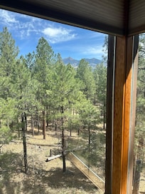 View from the top