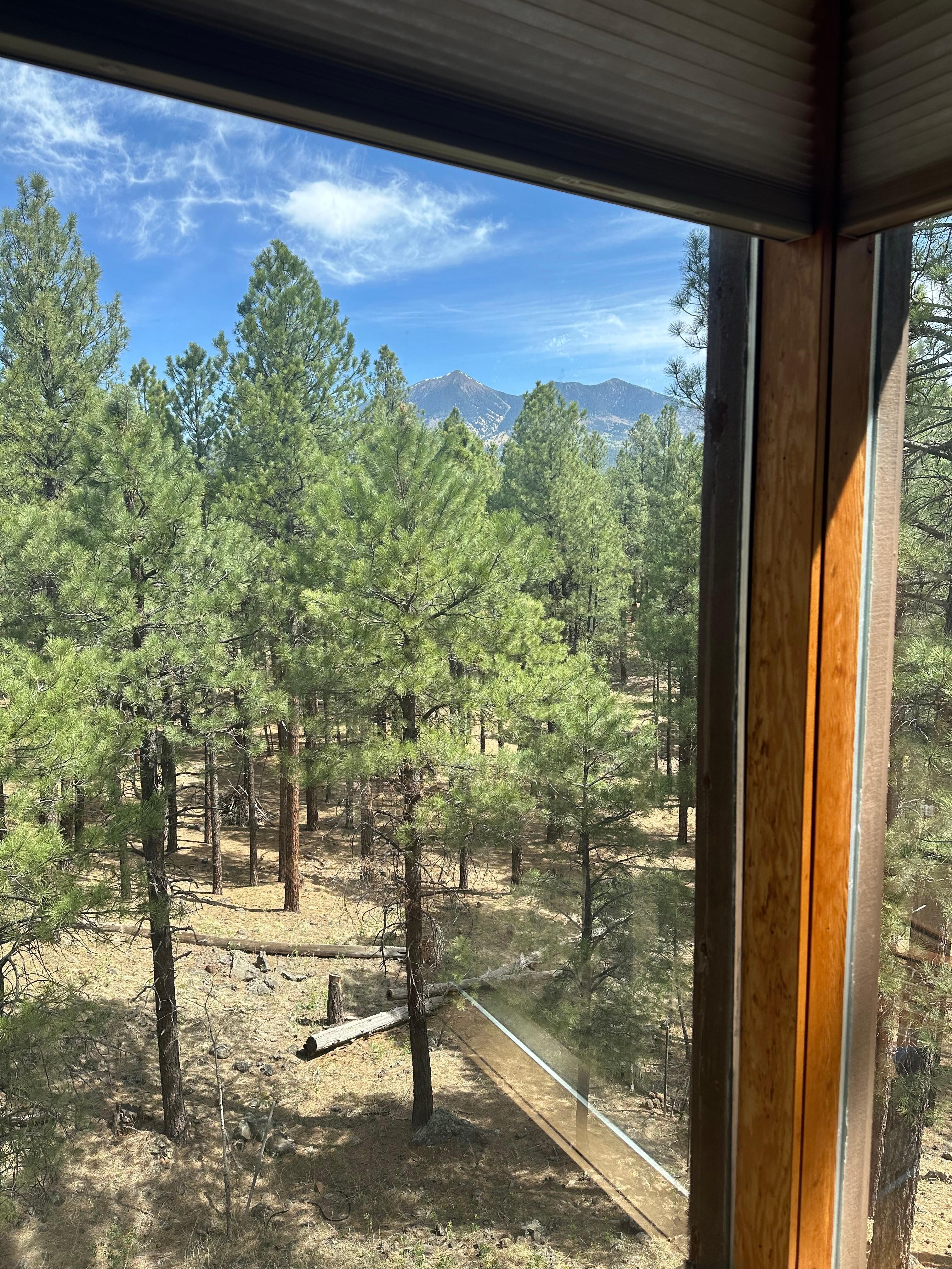 View from the top 