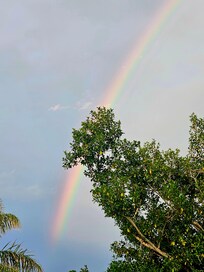 Rainbow view from back porch at the house!