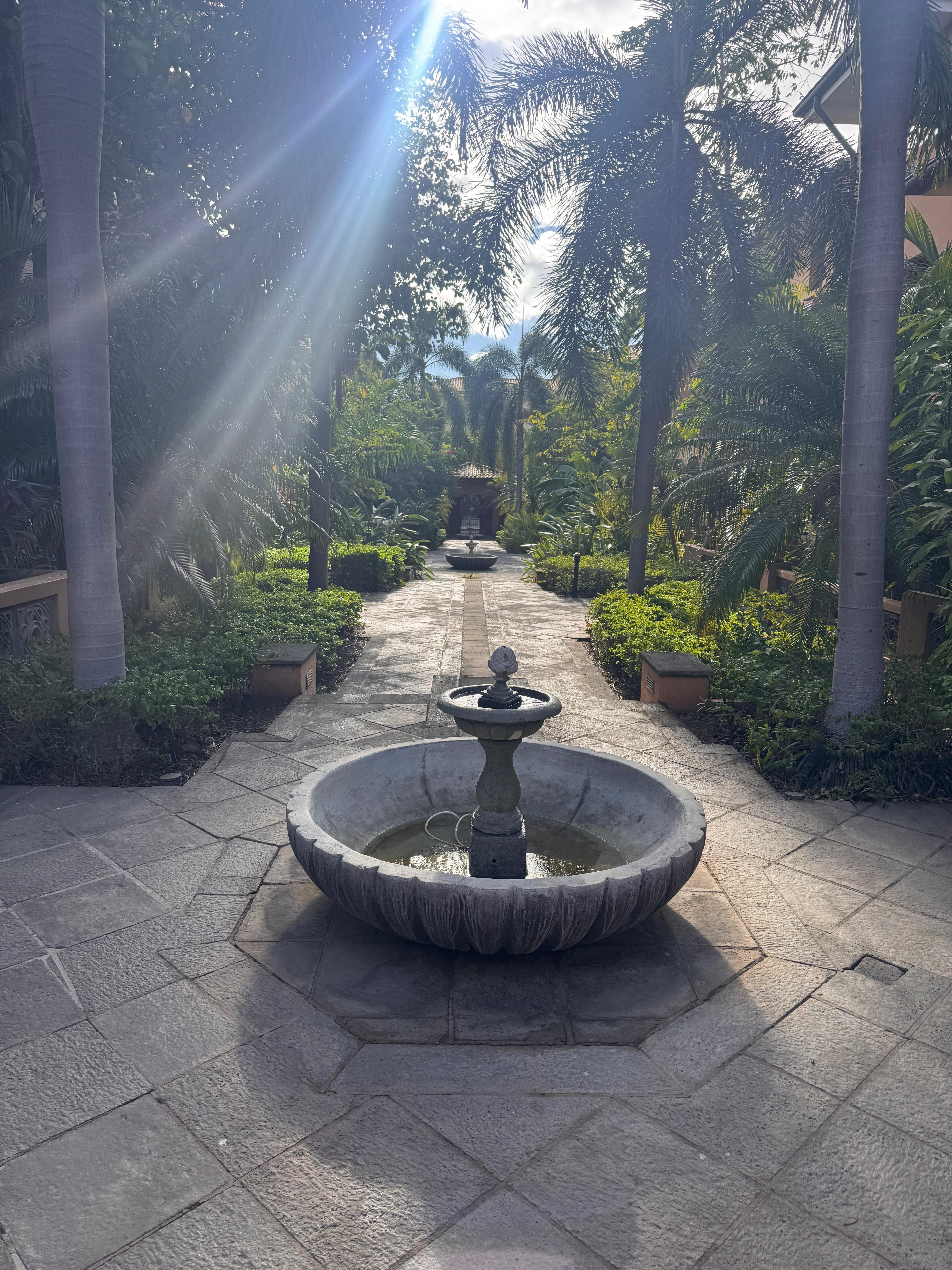 Adorable courtyard outside our front door 