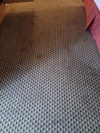 Filthy carpet