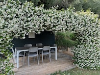 The seating are under the pergola was spacious