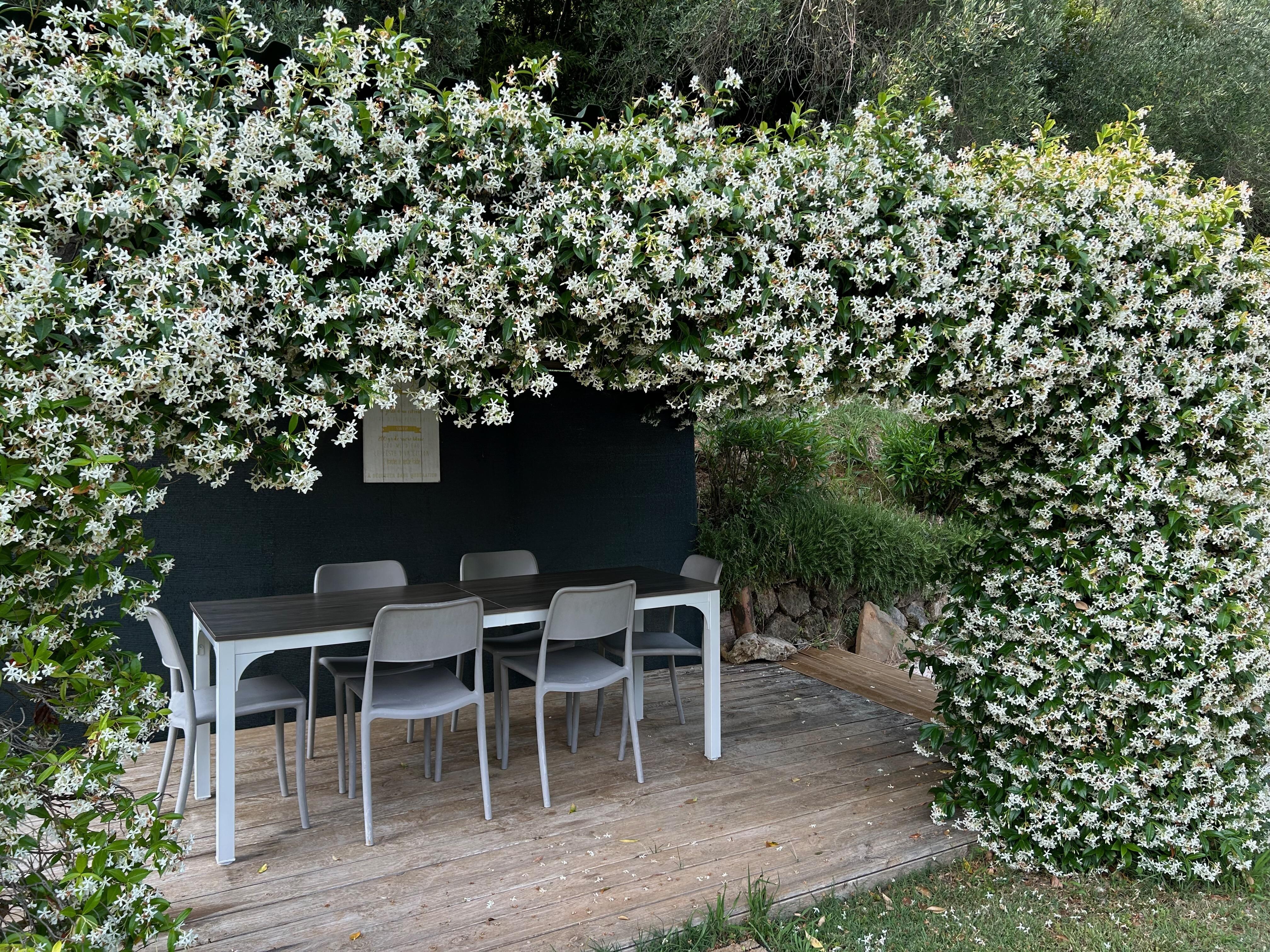 The seating are under the pergola was spacious