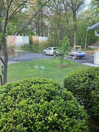 The front yard. Lots of parking and room for walks