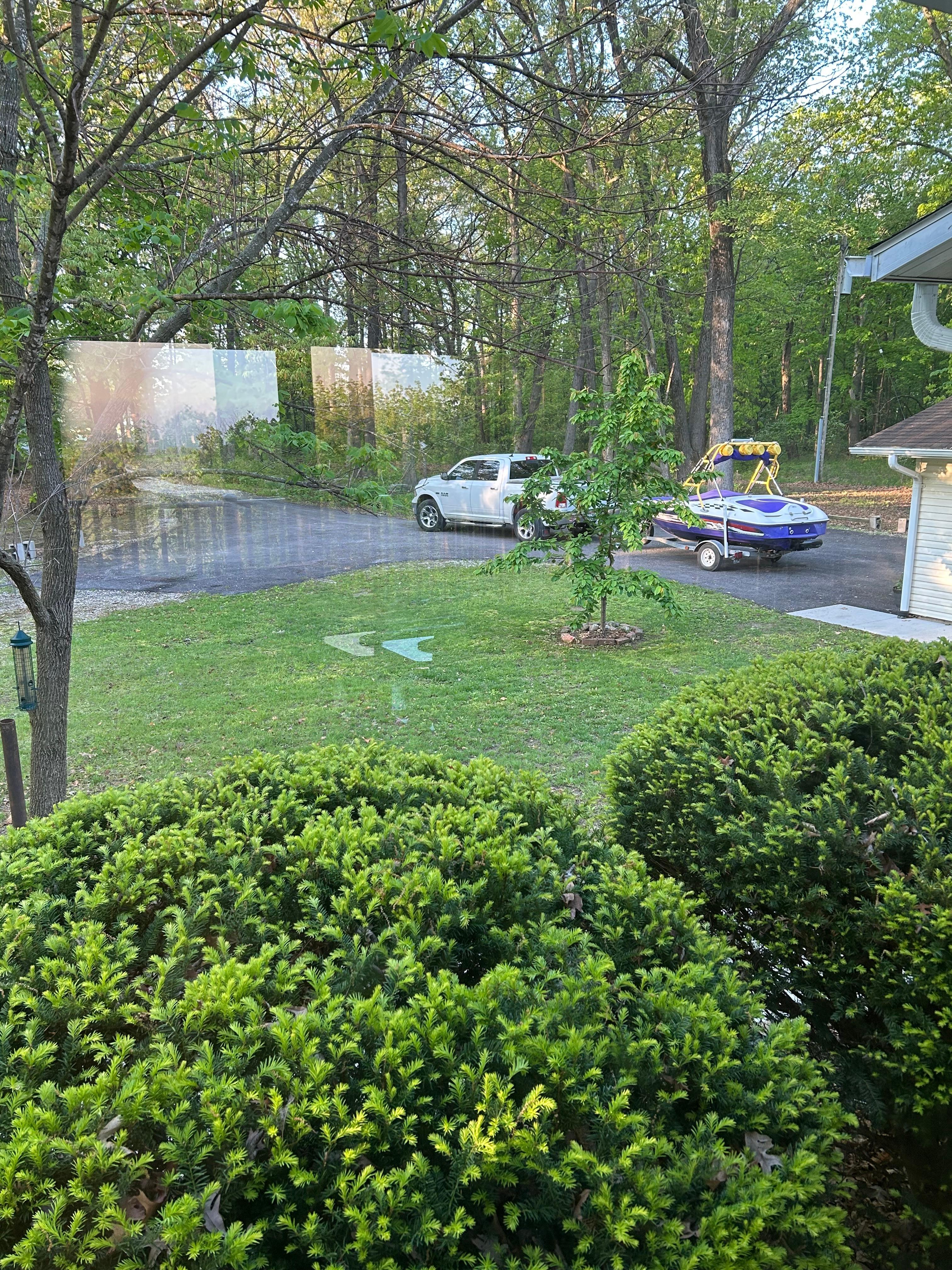 The front yard. Lots of parking and room for walks