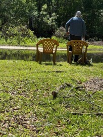 Back yard facing the river