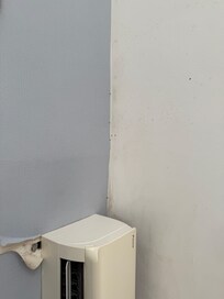Bugs on ceiling next to air conditioner