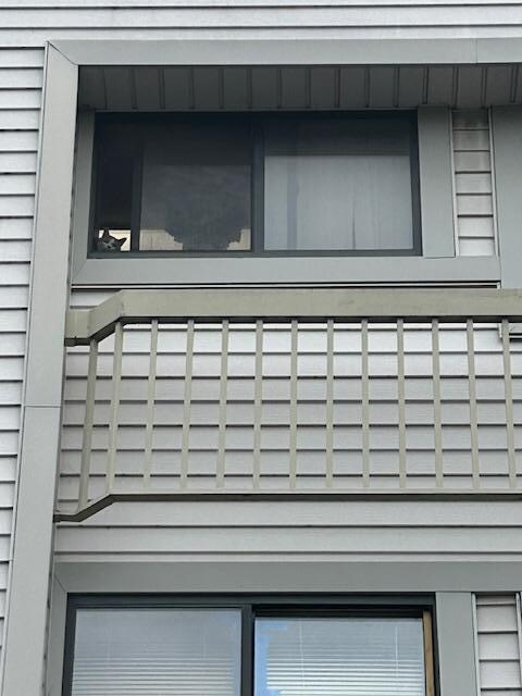Cat in the window.