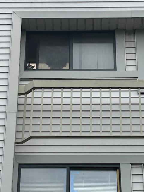 Cat in the window.
