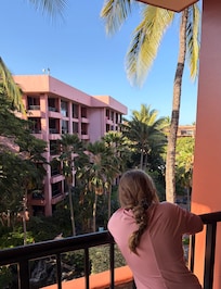 Beautiful lanai. We hung out on it every day