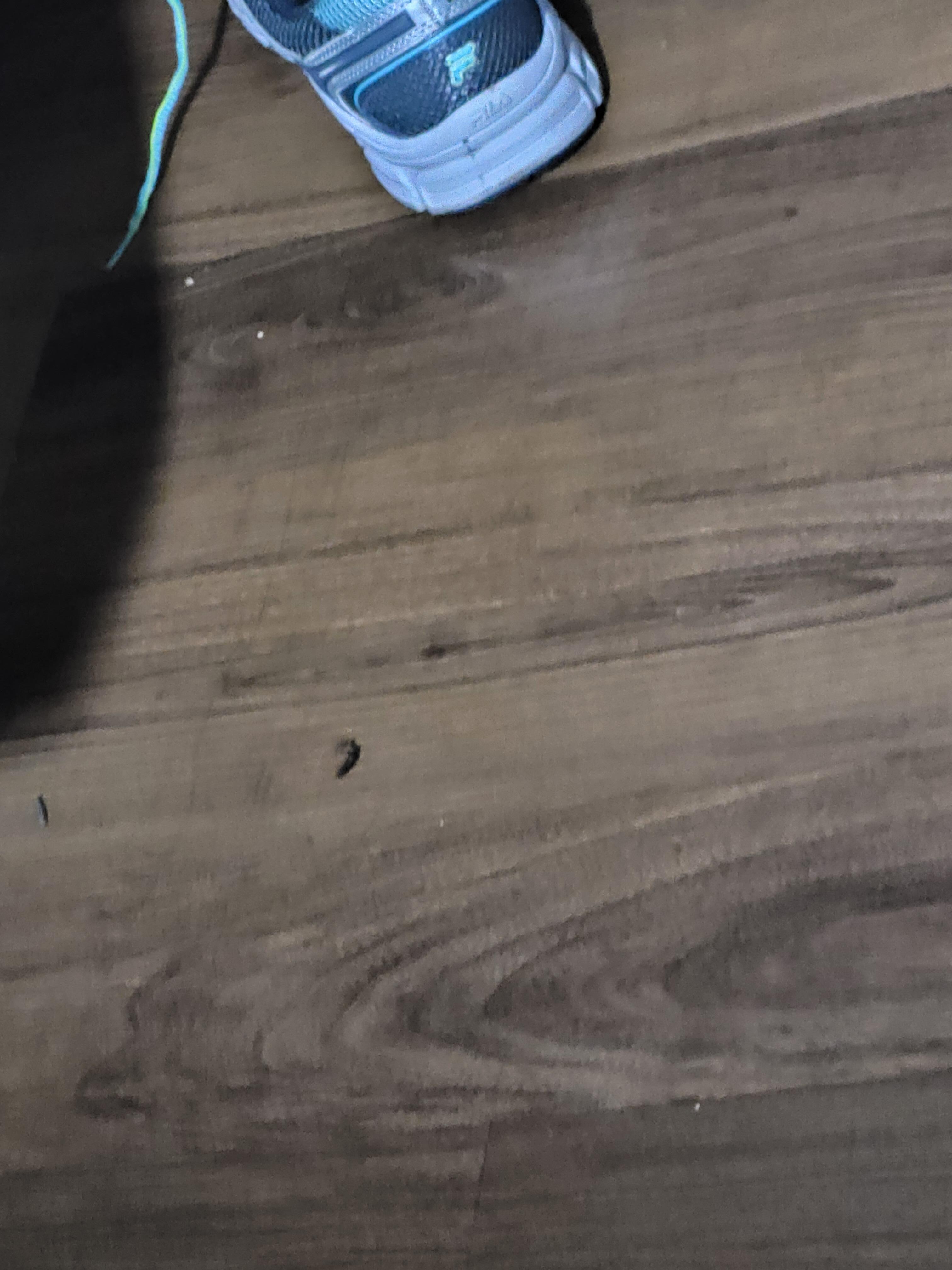 Dirty on floor 