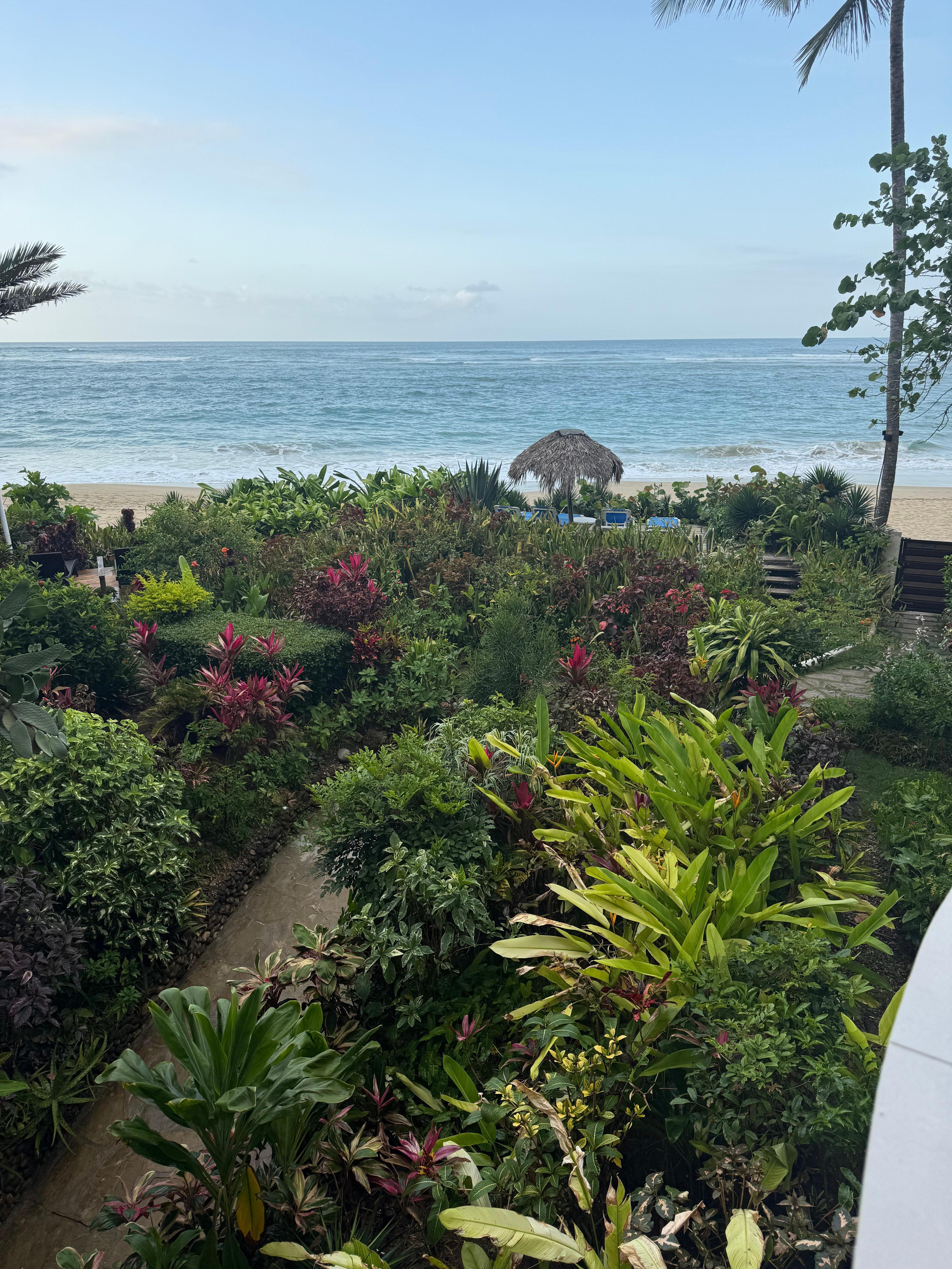 View from the balcony 