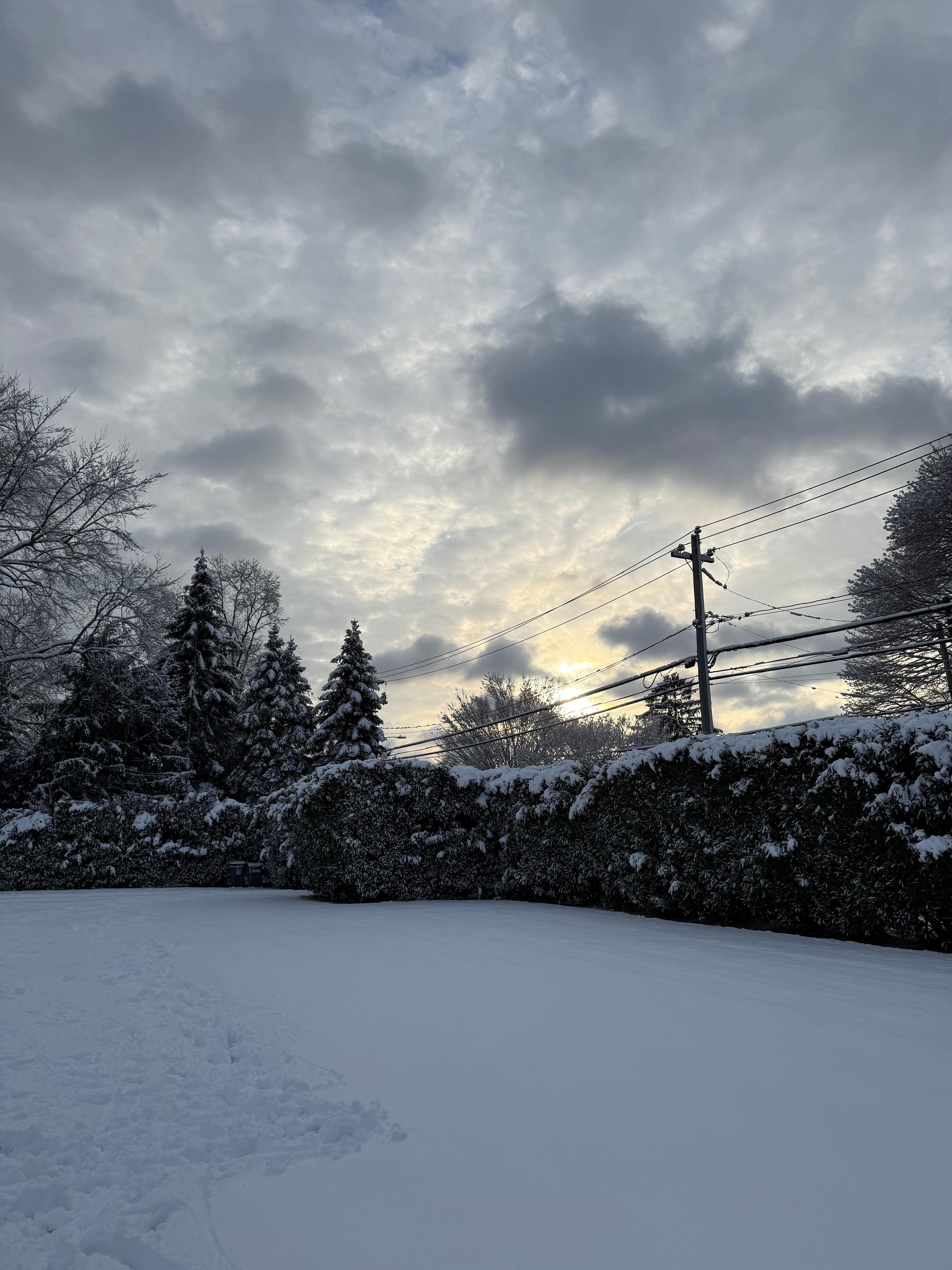Picture perfect snow day