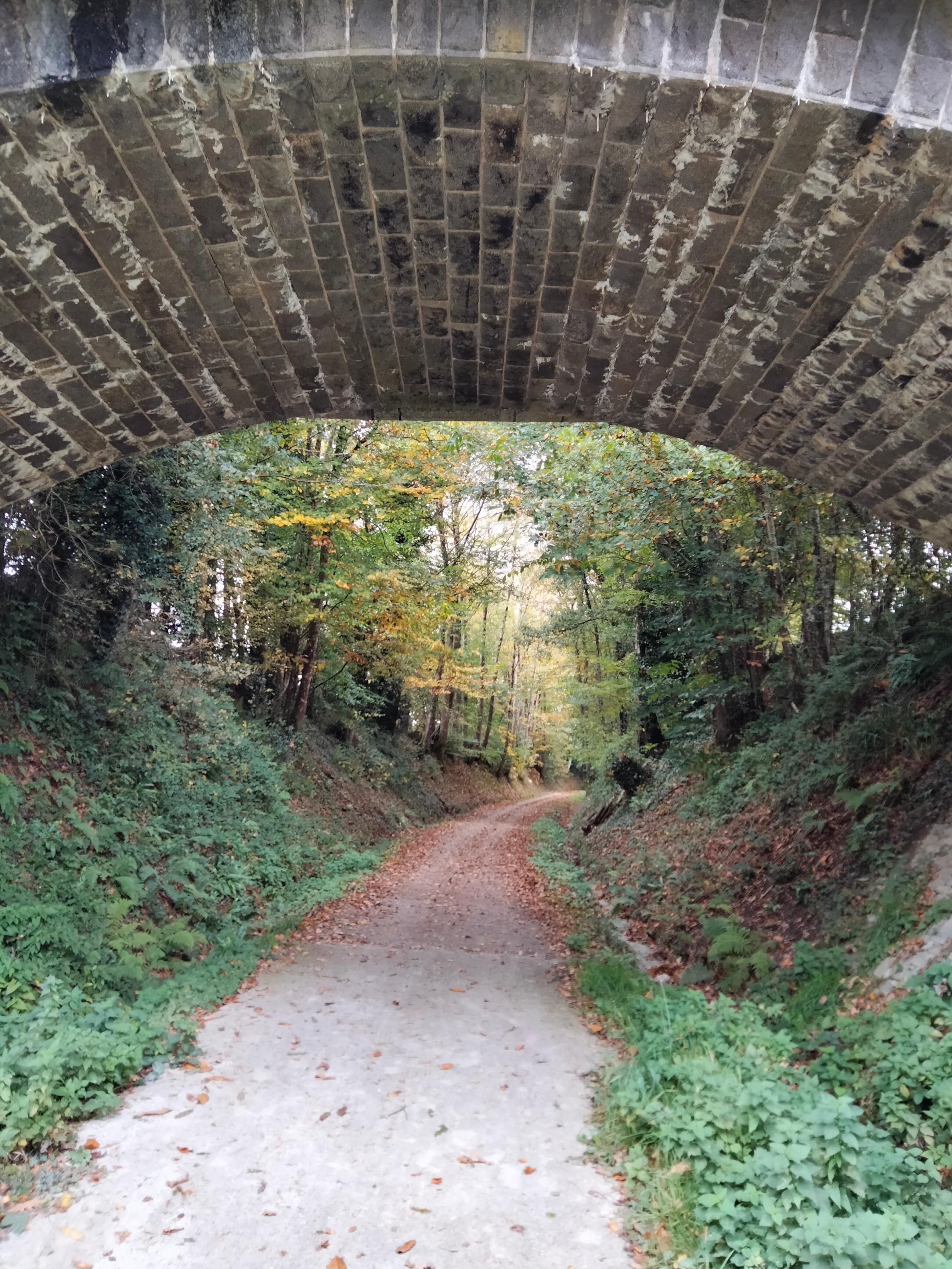 Proximité de la voie verte très appréciable.