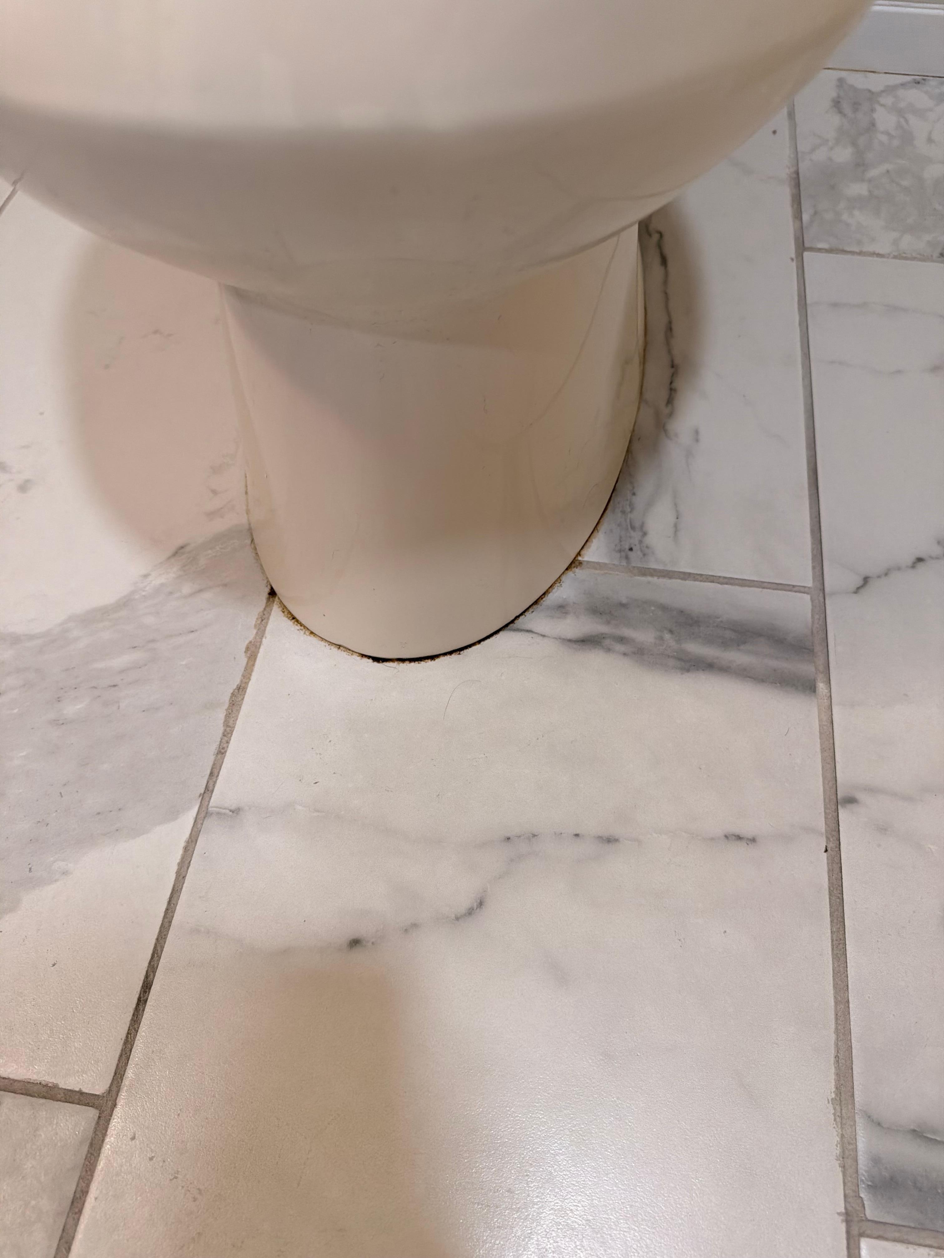 Urine around toilet.