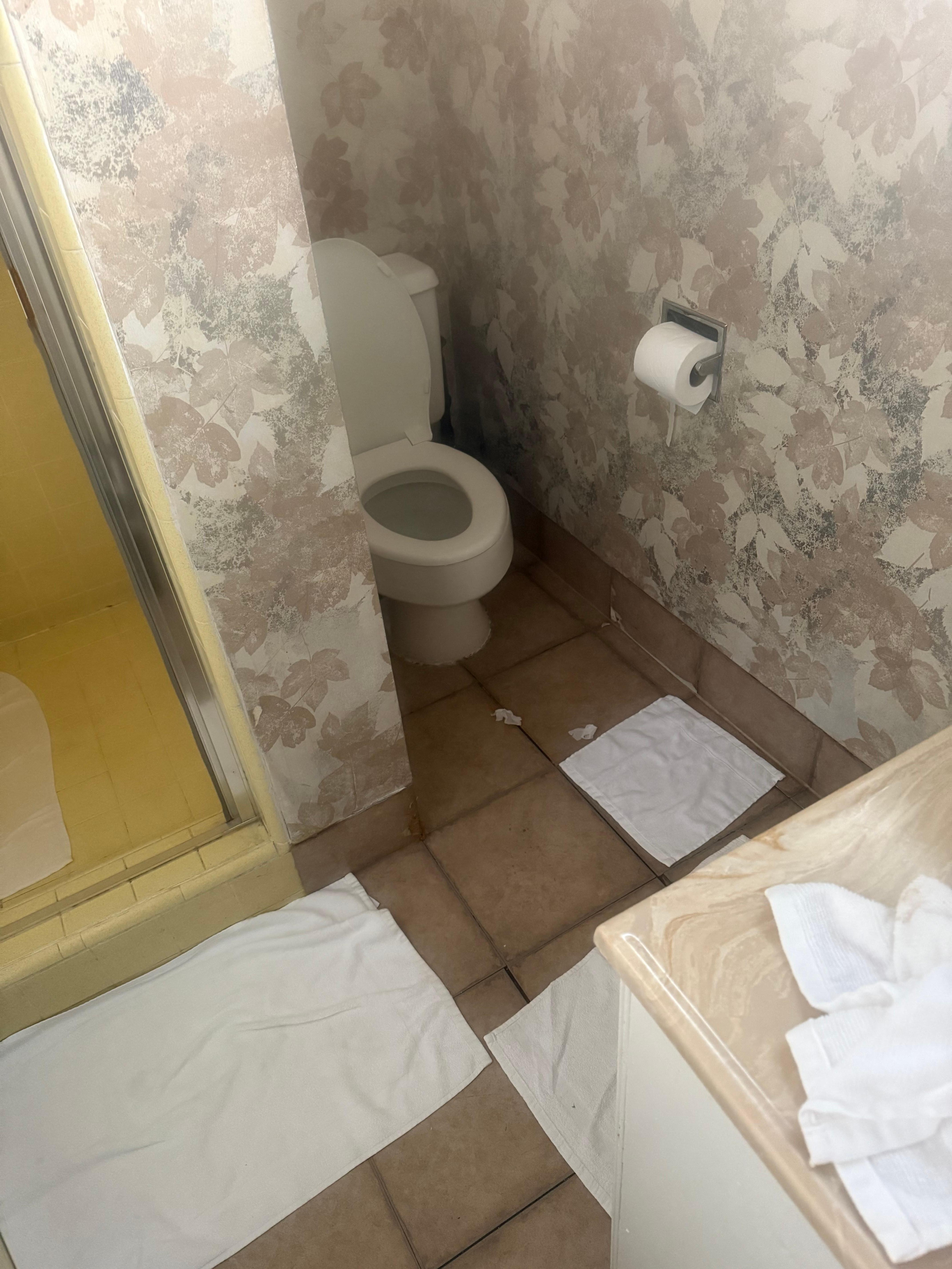 Bathroom1