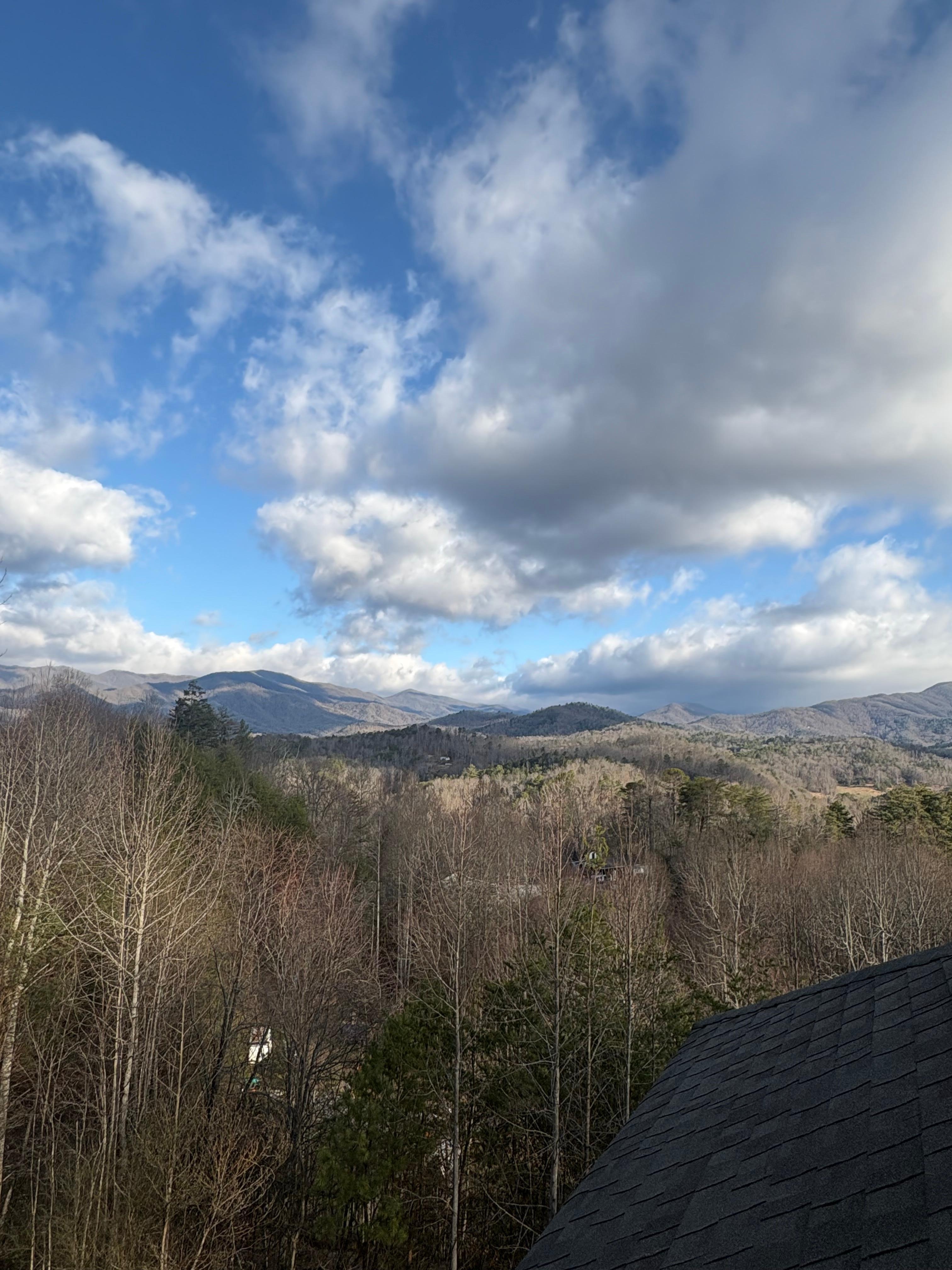 Morning view to start the day. 