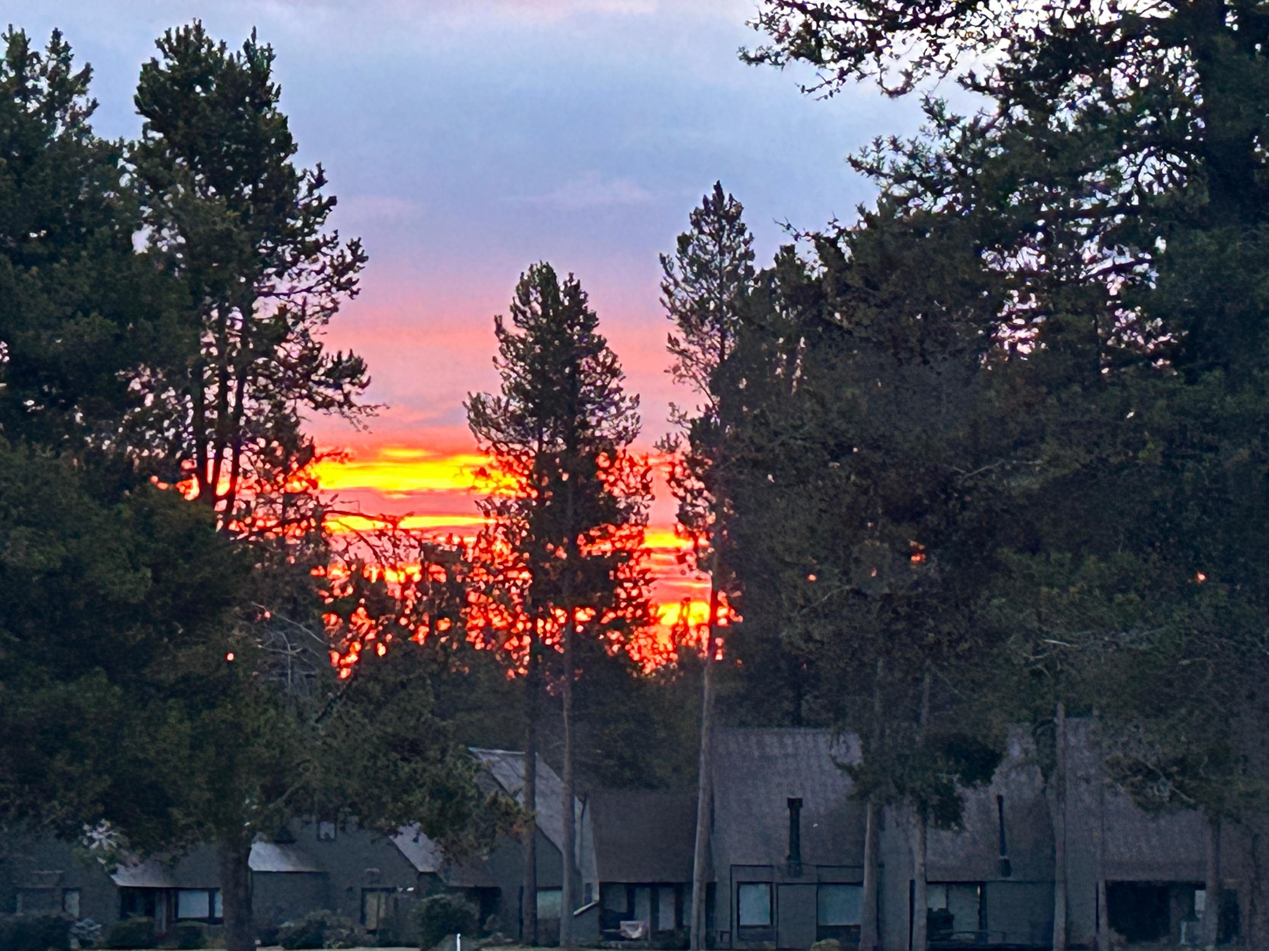 Sunrise looking back towards the condo