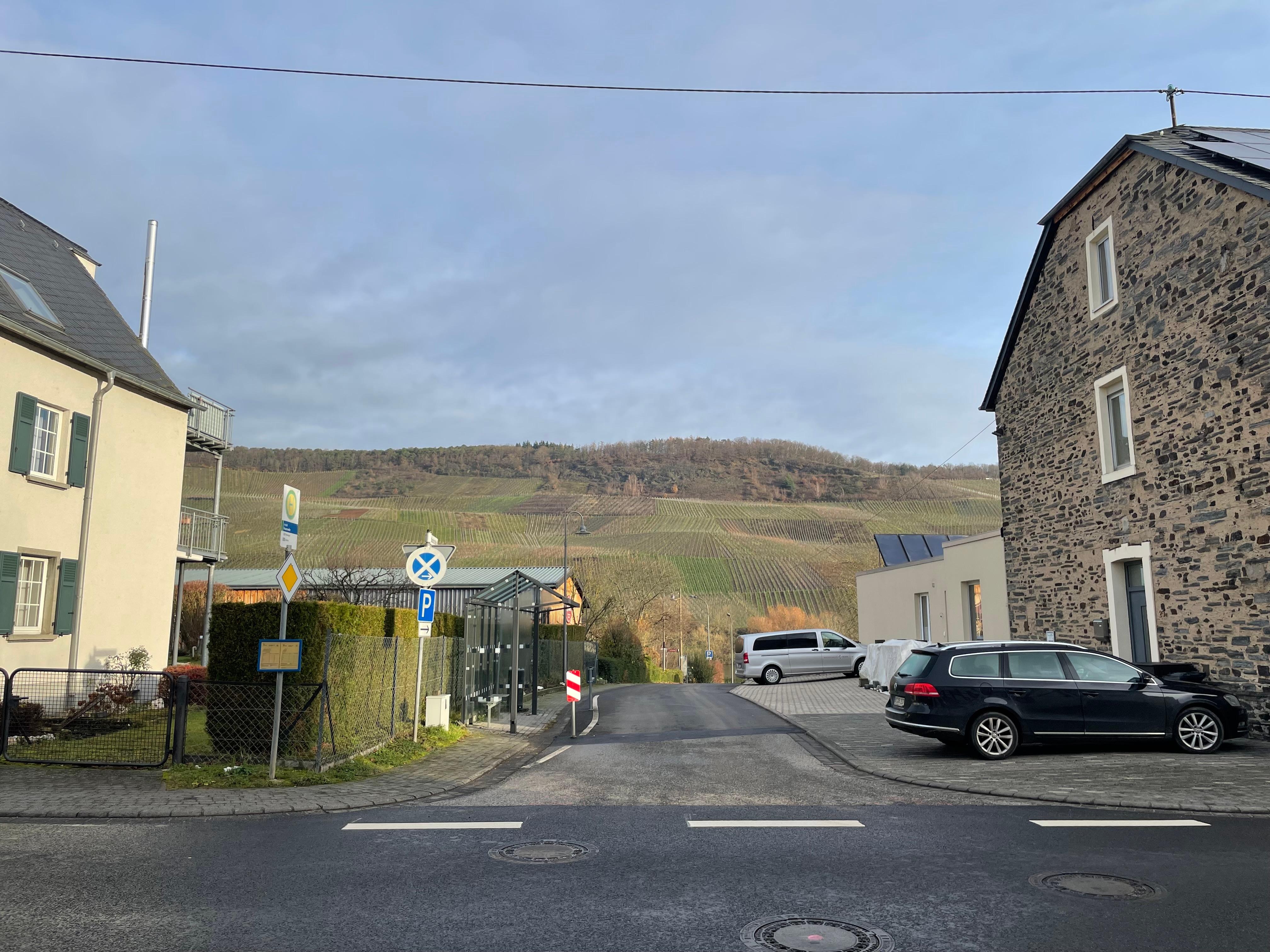 From from the house across the road towards the river and the far bank.