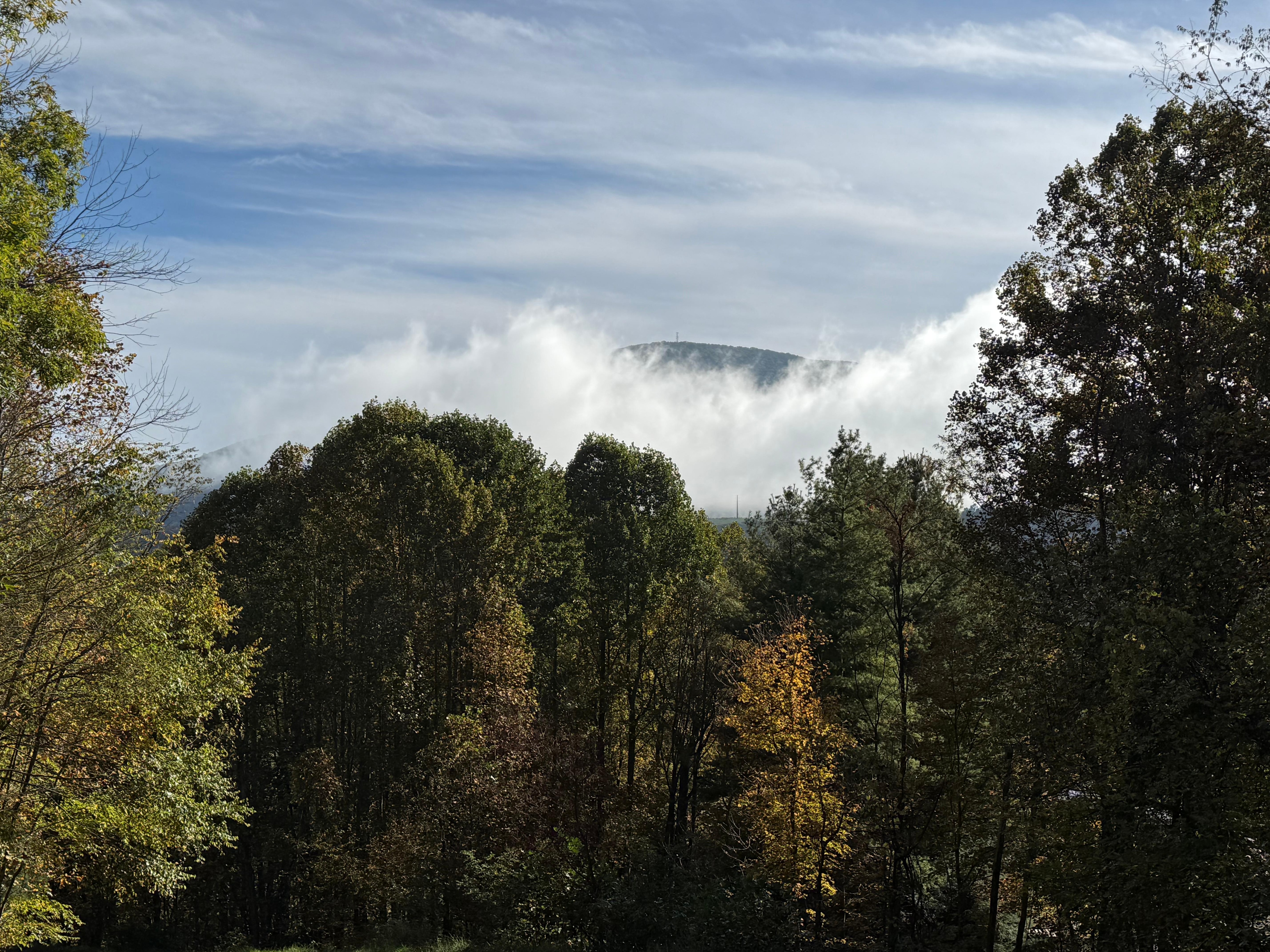 Mt Jefferson from front porch