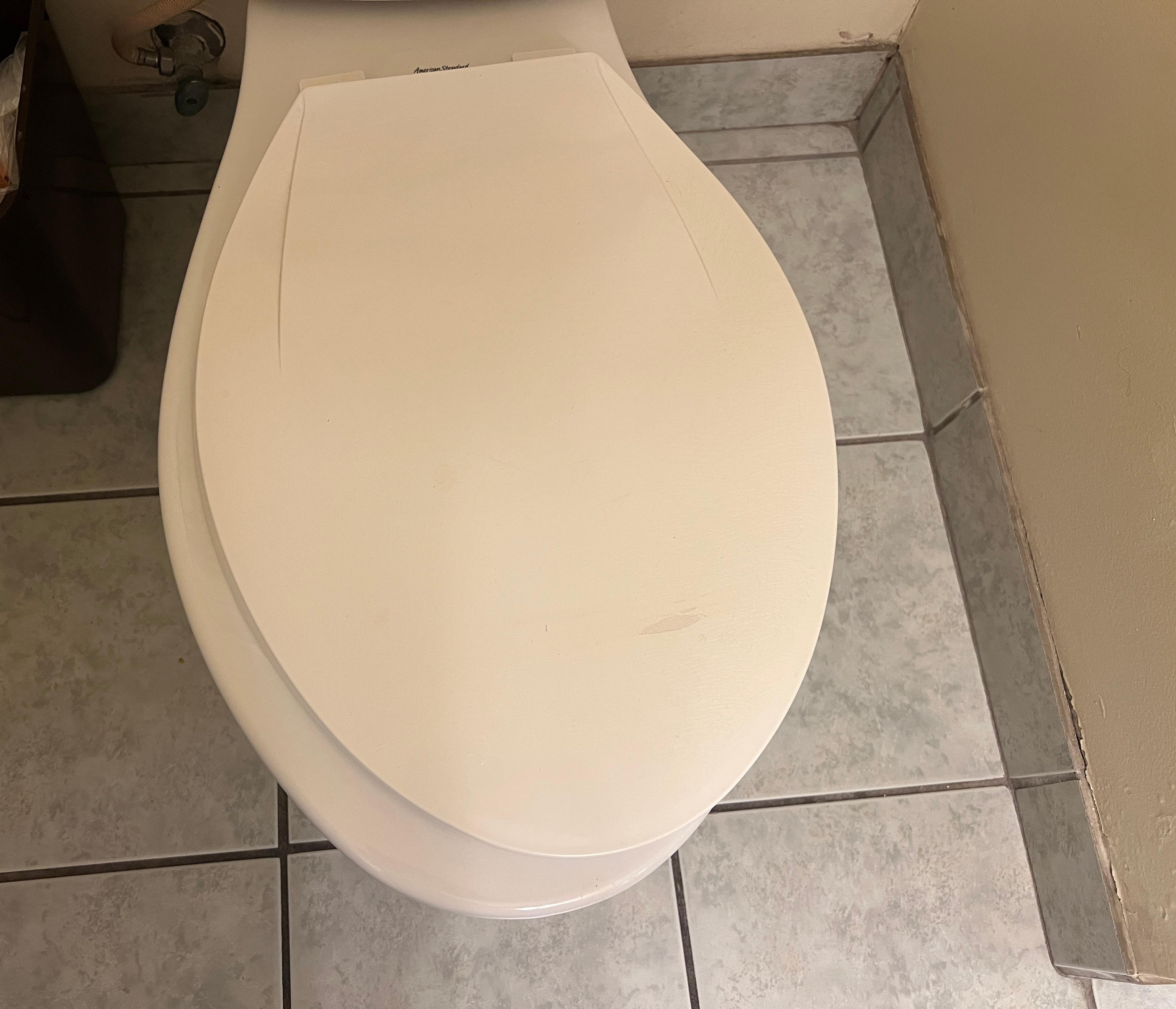 I've traveled on 3 continents & this is one of the dumbest toilets I've yet seen. The lid was installed askew & can't be adjust so it's like you're riding side saddle.