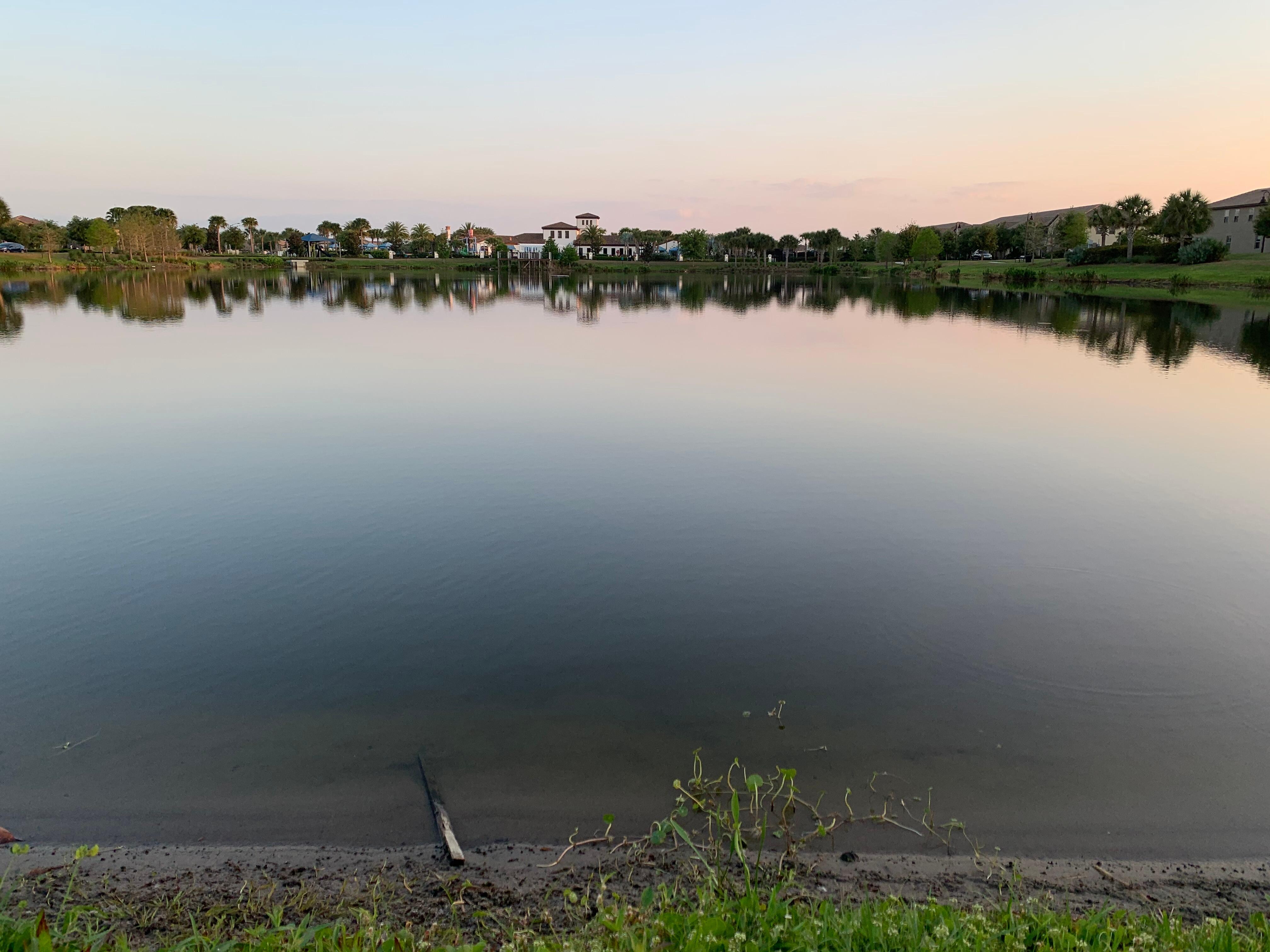 The lake close by the house 