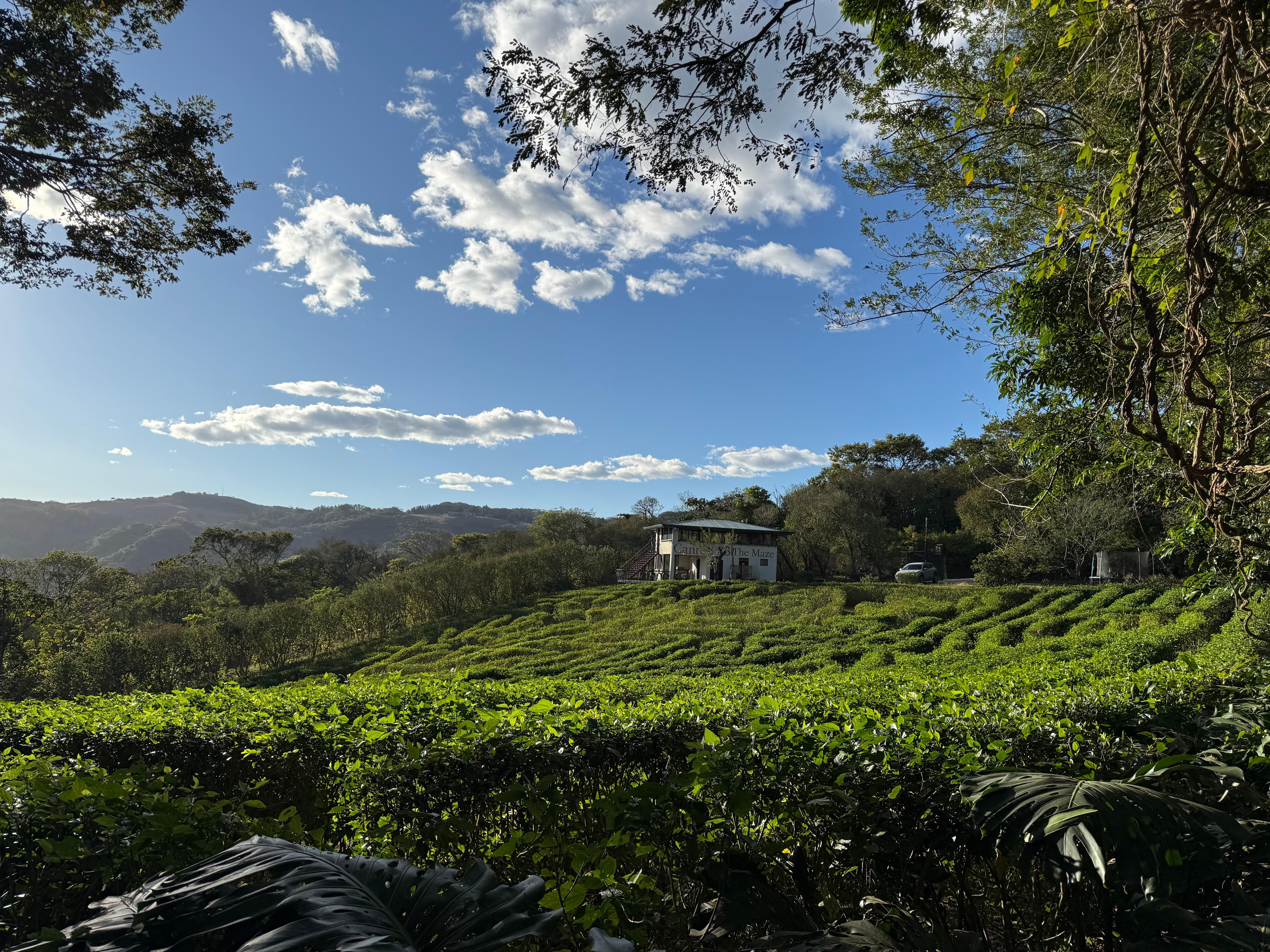 Backside of property