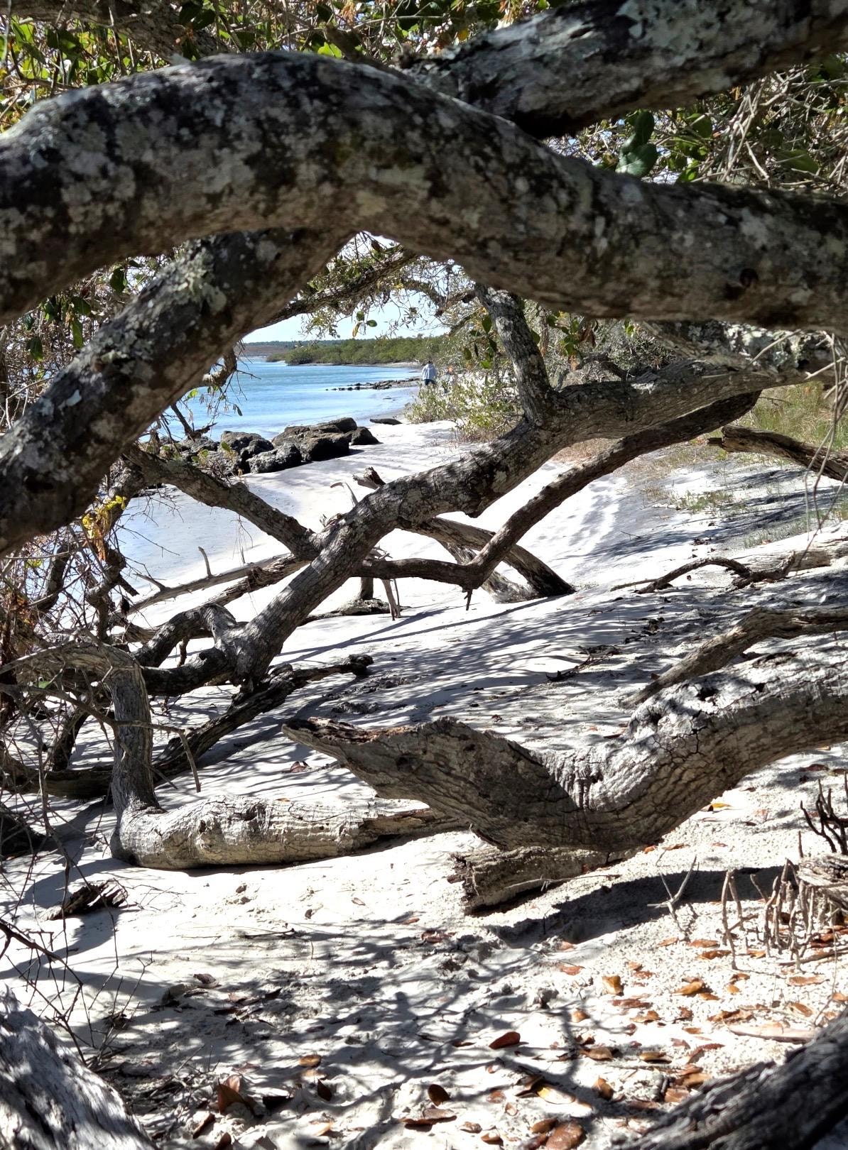 Fort Matanzas national park (2 minutes away/Gorgeous beach area.