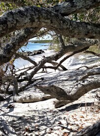 Fort Matanzas national park (2 minutes away/Gorgeous beach area.