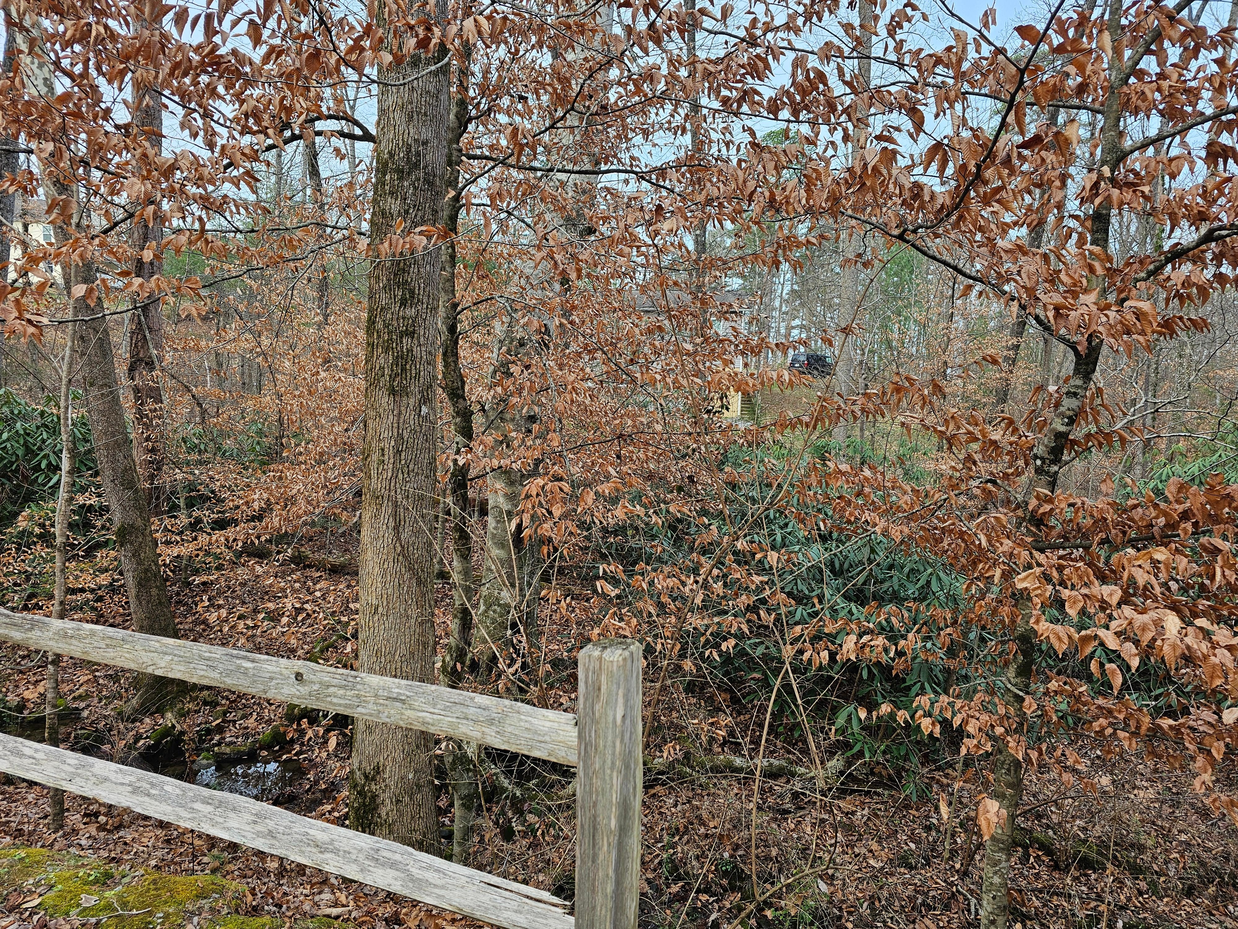 Creek next to and behind house