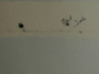 Showing ripped off the wall