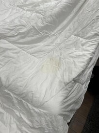 Pee stained linens