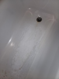 The bathtub that was supposedly cleaned.
