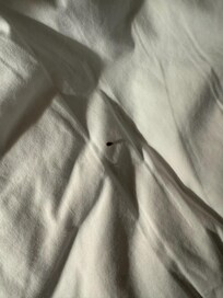 Have to expand or zoom but can definitely tell have other pictures as well .can show time stamp as well