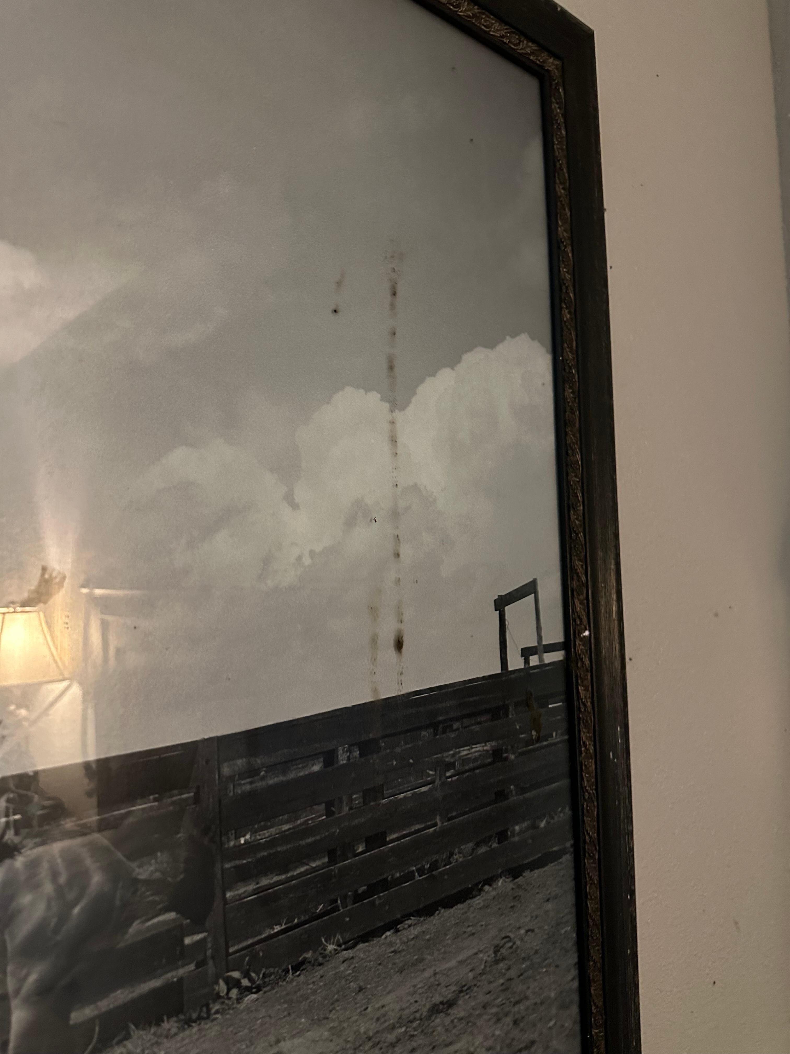 Something gross on the picture. 