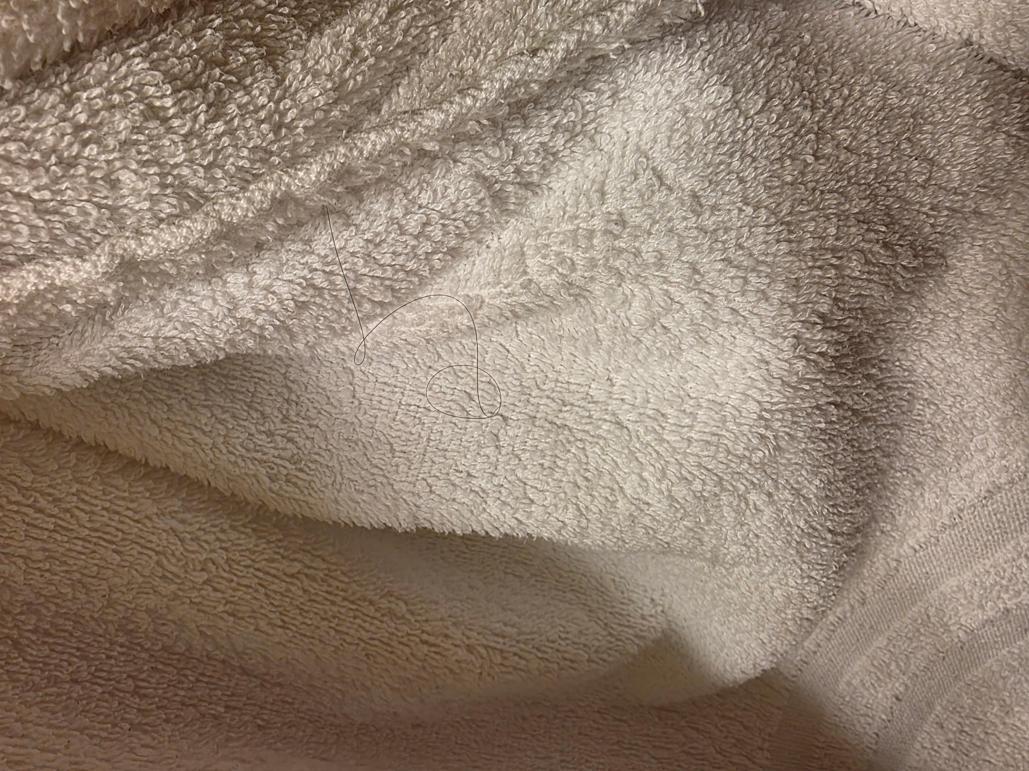 Dirty towel with a long hair stuck in it. 