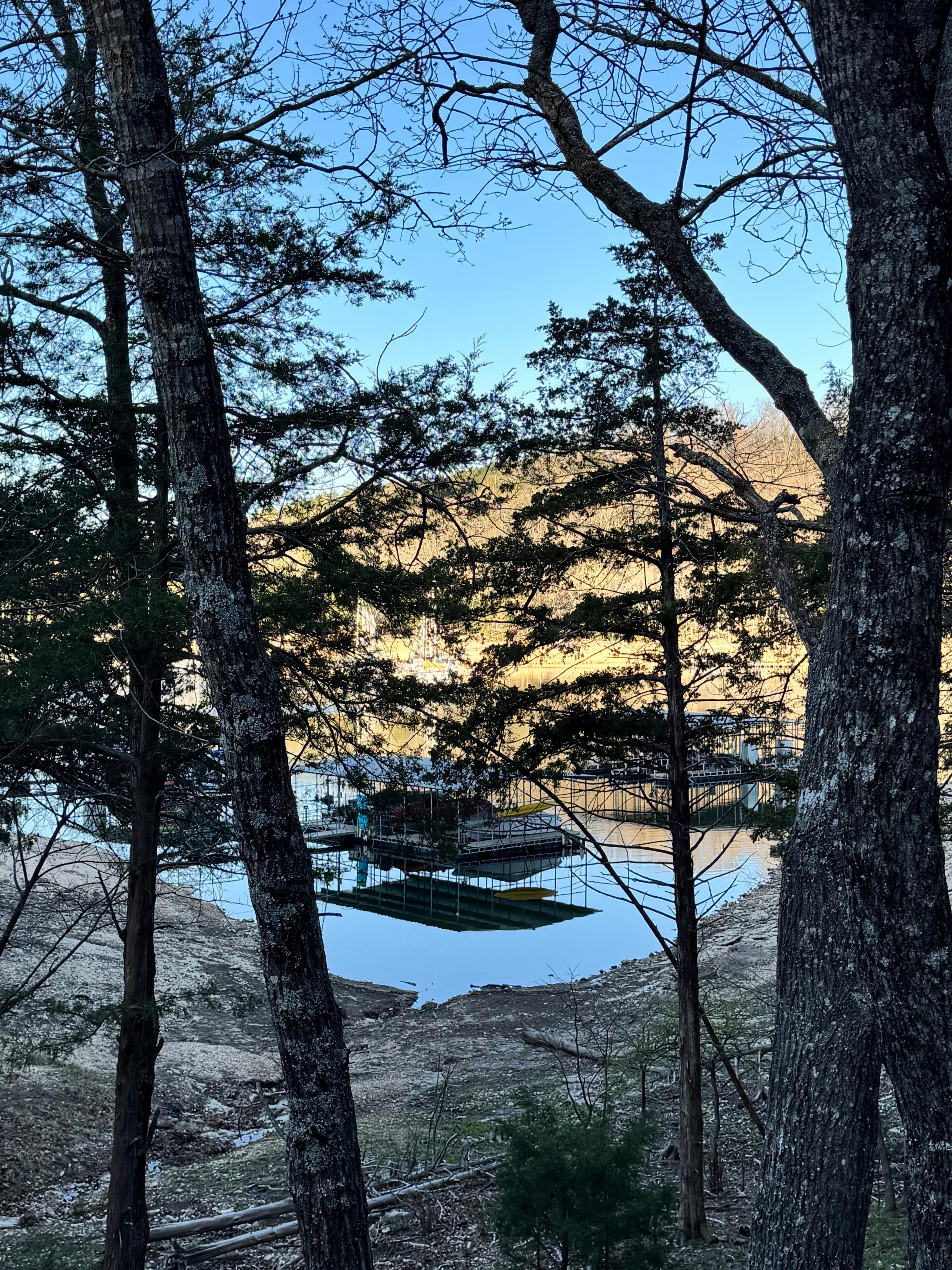 Morning view from the back deck.