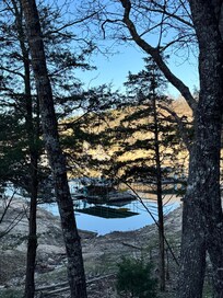 Morning view from the back deck.