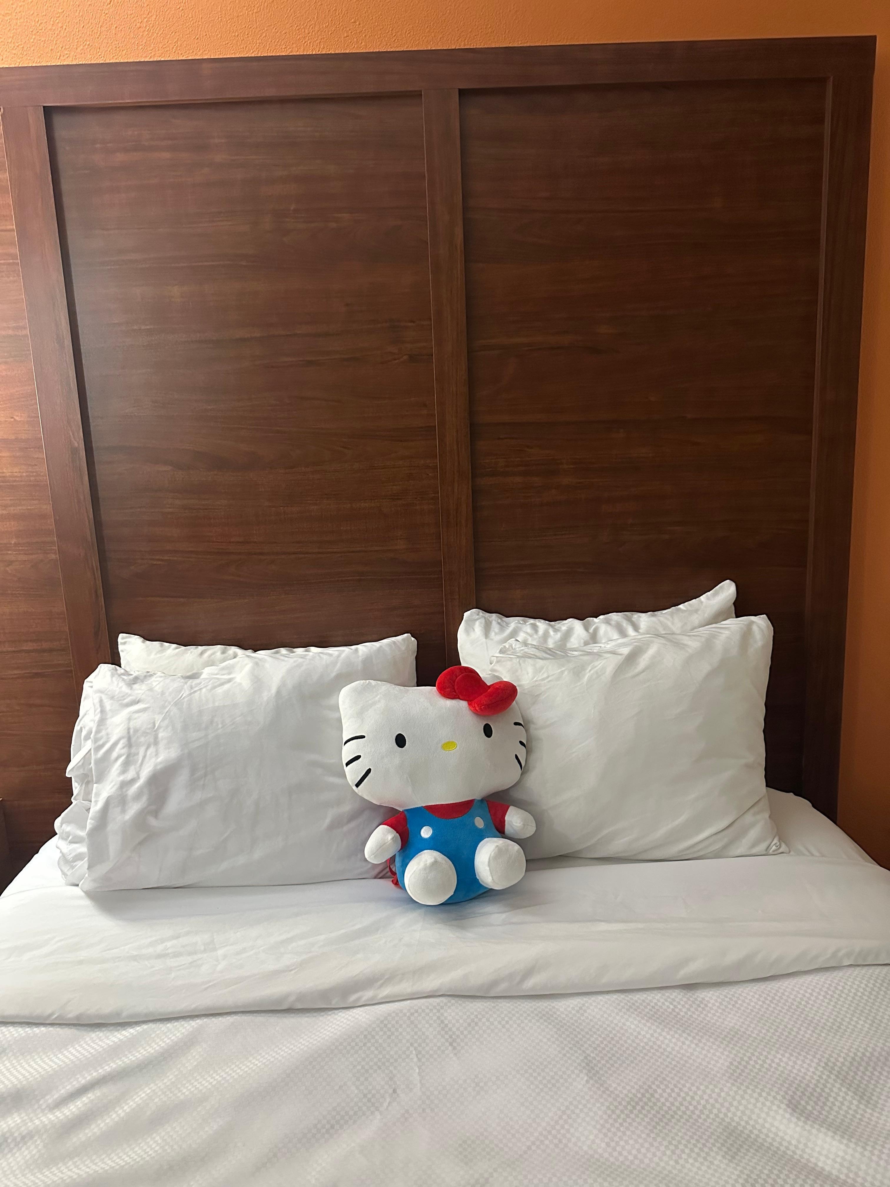 Bed is very comfortable 