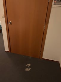 Stain close to the bathroom