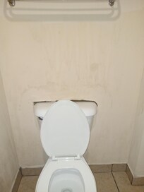 Wall in disrepair around the toilet, room 205