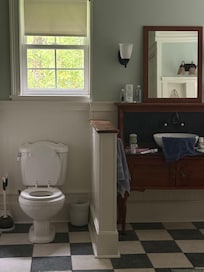 Wheelchair friendly master bathroom