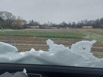 Champ de tulipes et neige en mars! Depuis le parking de l'hôtel.